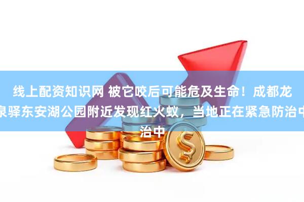 线上配资知识网 被它咬后可能危及生命!成都龙泉驿东安湖公园附近发现红火蚁,当地正在紧急防治中